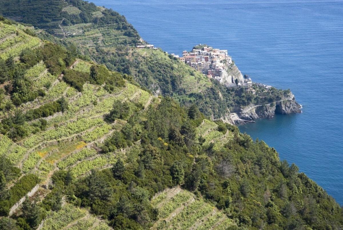 מונטה מרצ'לו La Casa Fra Gli Ulivi Luxury Apartments With Pool Near Cinque Terre And Tuscany מראה חיצוני תמונה