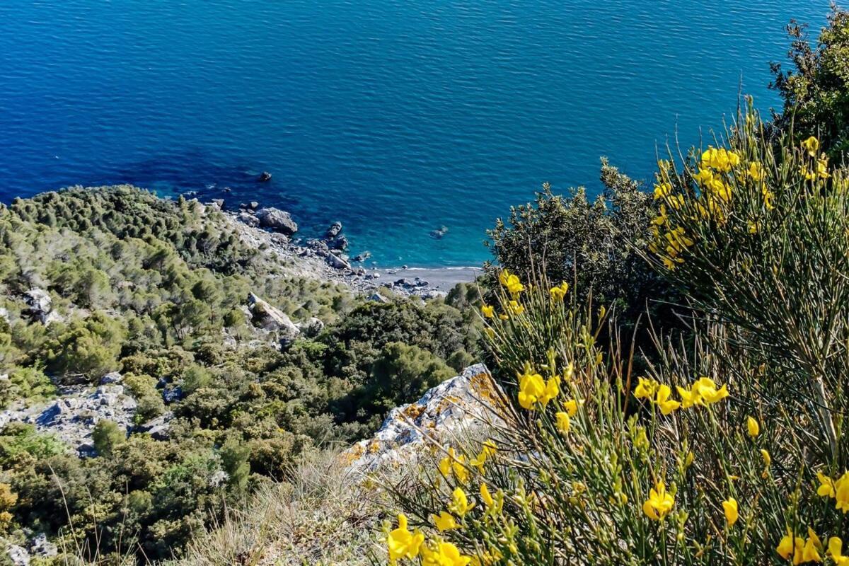 מונטה מרצ'לו La Casa Fra Gli Ulivi Luxury Apartments With Pool Near Cinque Terre And Tuscany מראה חיצוני תמונה